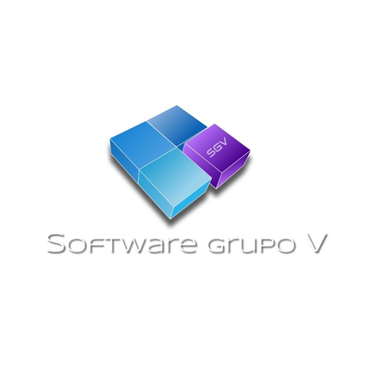 Software Grupo V en Zaragoza
