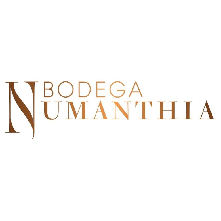 Bodega Numanthia vinos D.O. Toro