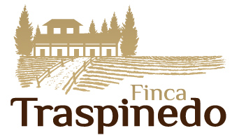 D.O. Méntrida 20 Finca Traspinedo vinos D.O. Méntrida