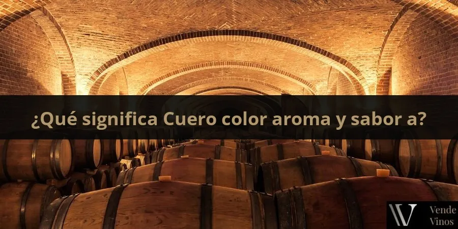 Letra C 8 Cuero color aroma y sabor a