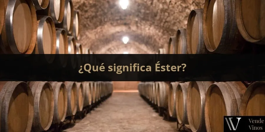 Letra E 21 Éster