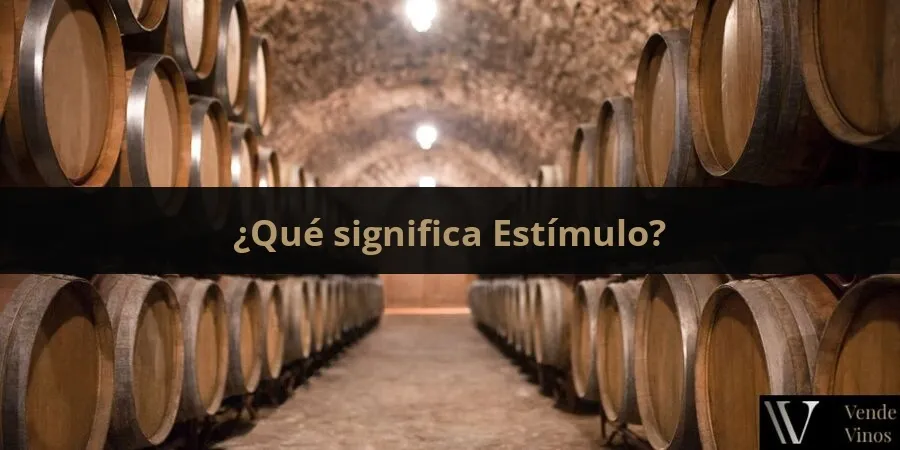 Letra E 18 Estímulo