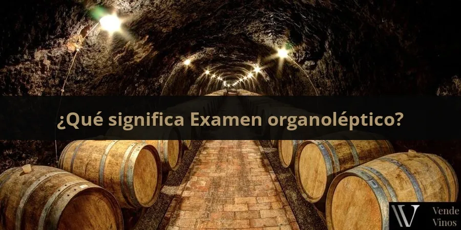 Letra E 6 Examen organoléptico