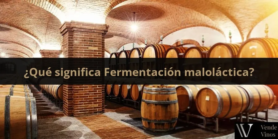 Letra F 21 Fermentación maloláctica