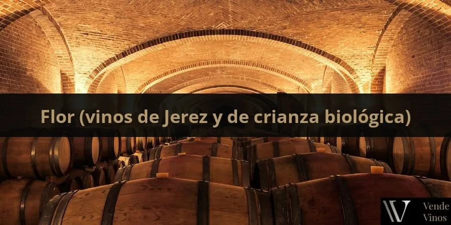 Letra F 14 Flor (en los vinos de Jerez y otros de crianza biológica)
