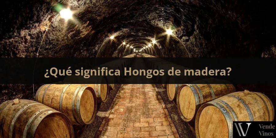 Hongos de madera
