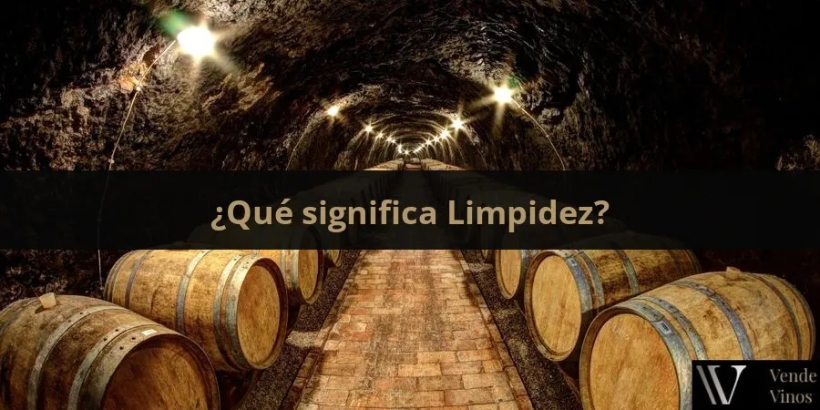 Letra L 13 Limpidez