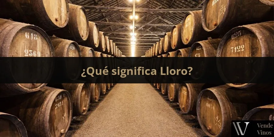 Letra L 2 Lloro