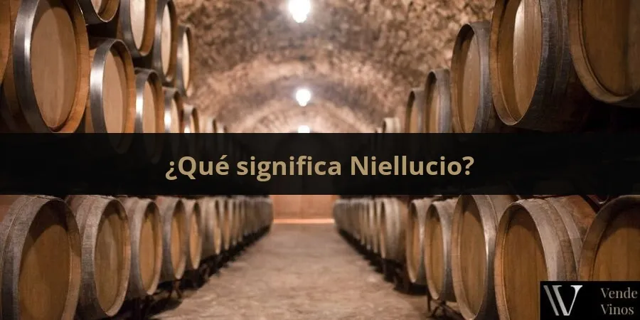 Letra N 14 Niellucio