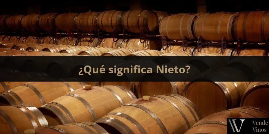 Letra N 13 Nieto