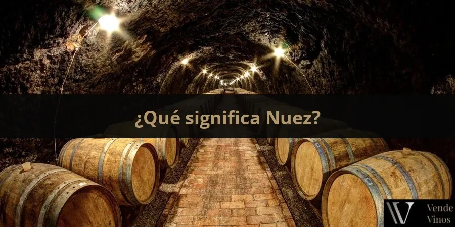Letra N 2 Nuez