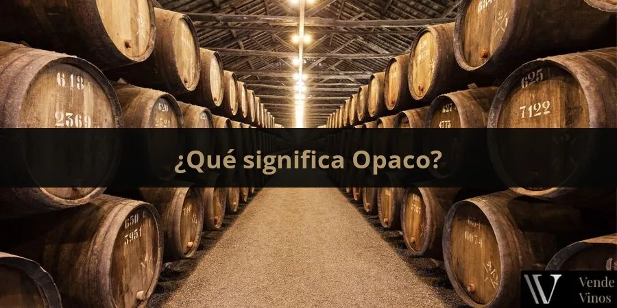 Letra O 18 Opaco