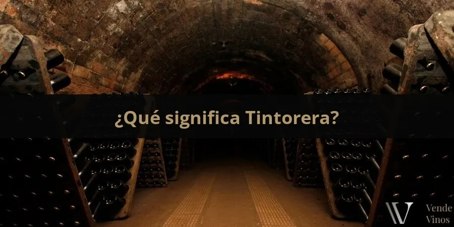 Letra T 16 Tintorera