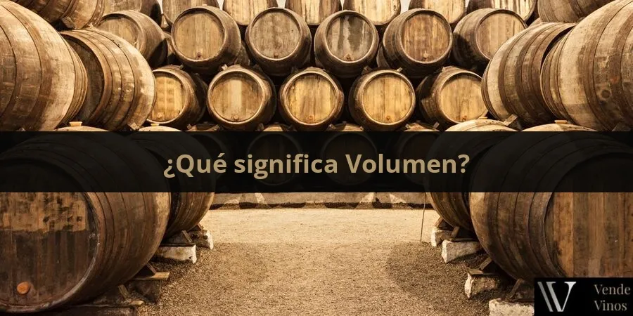Letra V 4 Volumen
