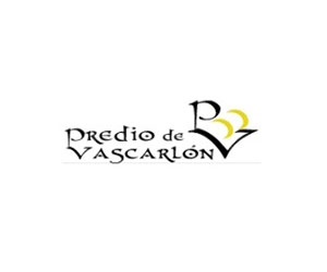 D.O. Rueda 9 Predio de Vascarlón vinos D.O. Rueda