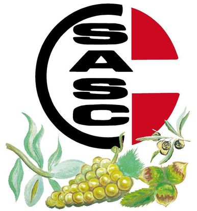 D.O. Tarragona 4 Societat Agrícola de Valls vinos D.O. Tarragona