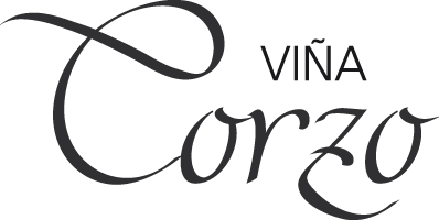D.O. Valdeorras 5 Viña Corzo vinos D.O. Valdeorras