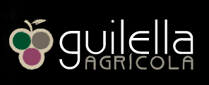 Guilella Agrícola vinos D.O. Valencia